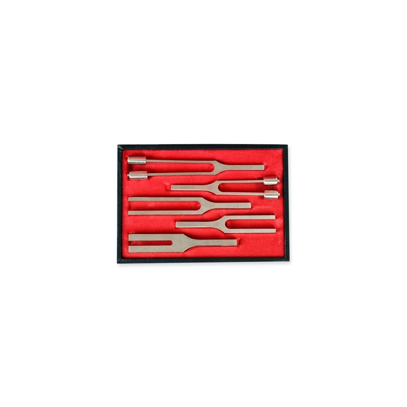 TROUSSE DIAPASON LEGA - 5 pezzi