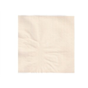 Carta termica ECG 215x25 mmxm - rotolo griglia arancio