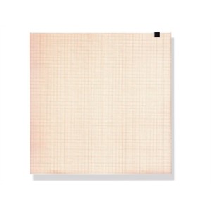 Carta termica ECG 210x295 mm - pacco da 150 f. griglia arancio