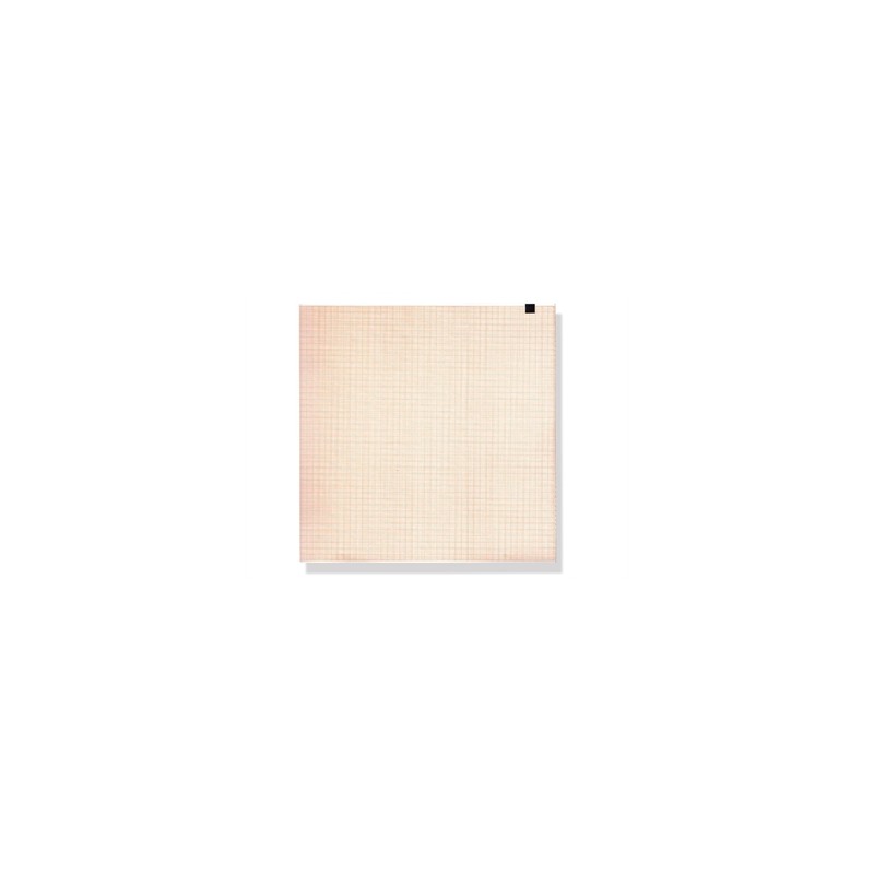 Carta termica ECG 210x295 mm - pacco da 150 f. griglia arancio