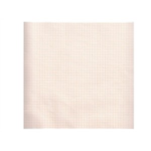 Carta termica ECG 210x30 mmxm - rotolo griglia arancio