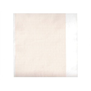 Carta termica ECG 210x20 mmxm - rotolo griglia arancio