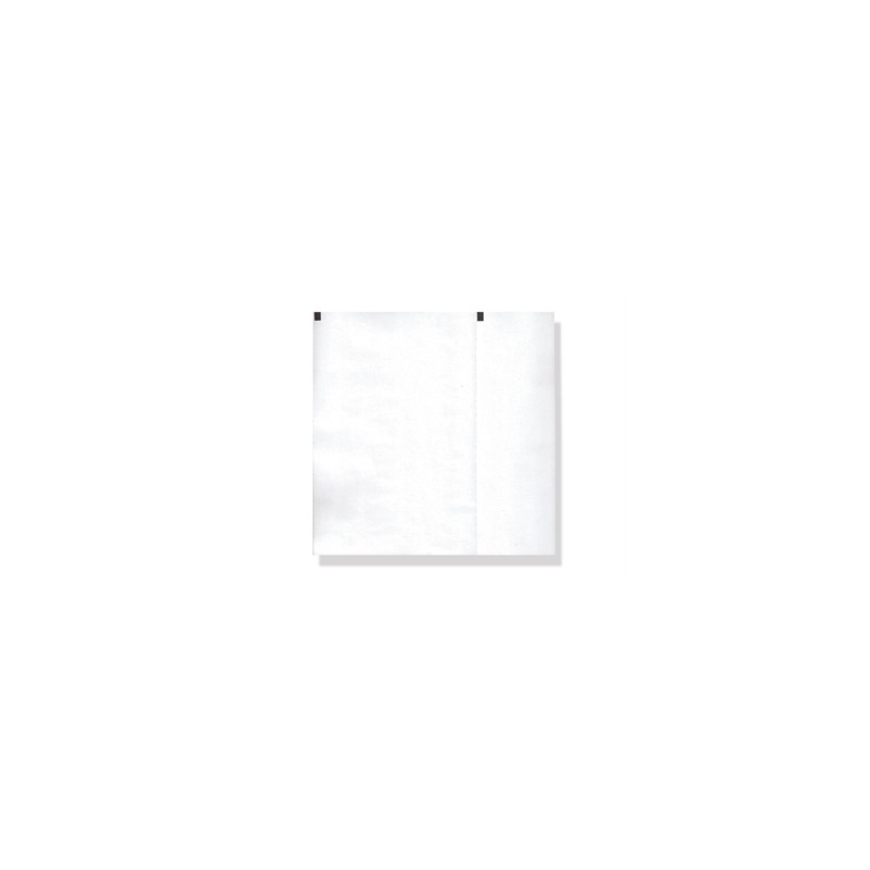 Carta termica ECG 210x140 mmxm - pacco griglia bianca