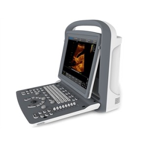 ECOGRAFO CHISON ECO2 B/N - 1 connettore sonda