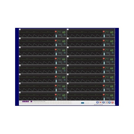 SOFTWARE CENTRAL STATION