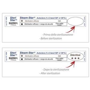TEST AUTOCLAVE STEAM STAR