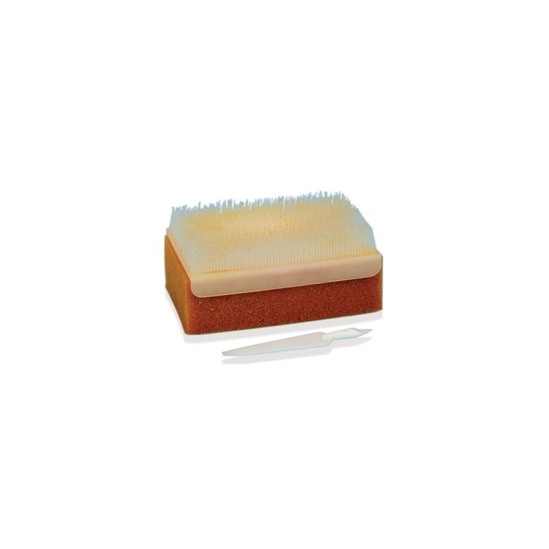 KIT SPAZZOLA PVP-IODINE - pack multilingue