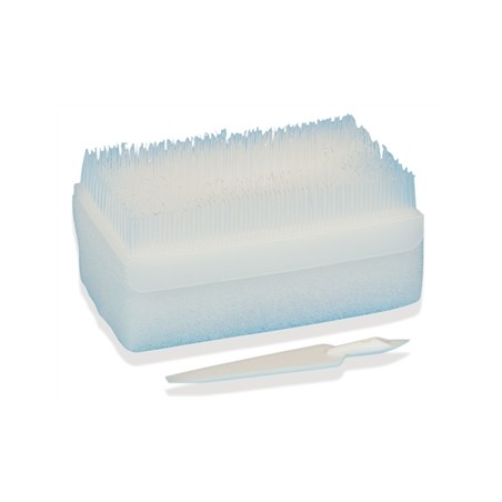KIT SPAZZOLA CLOREXIDINA - pack multilingue