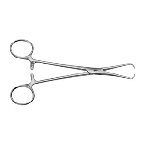PINZA FISSATELI BERNHARD AESCULAP - retta - punte acute - 16 cm - BF426R