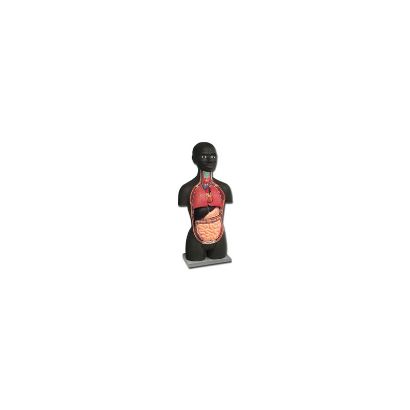 MINI TORSO - AFRICANO - 16 parti