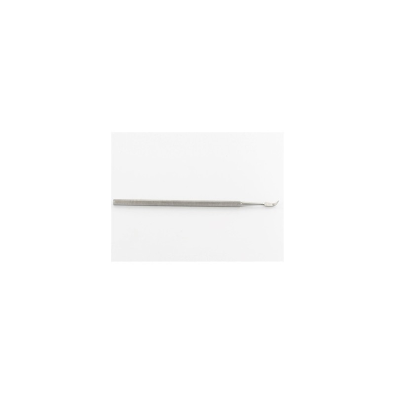 SCALER - fig. 1