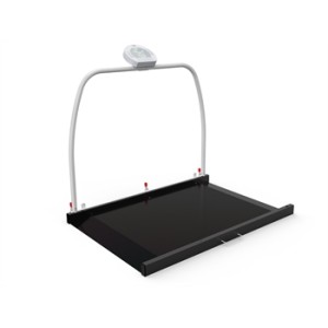 PIATTAFORMA DIGITALE WUNDER RW2.0 CON CORRIMANO 300 kg - Classe III