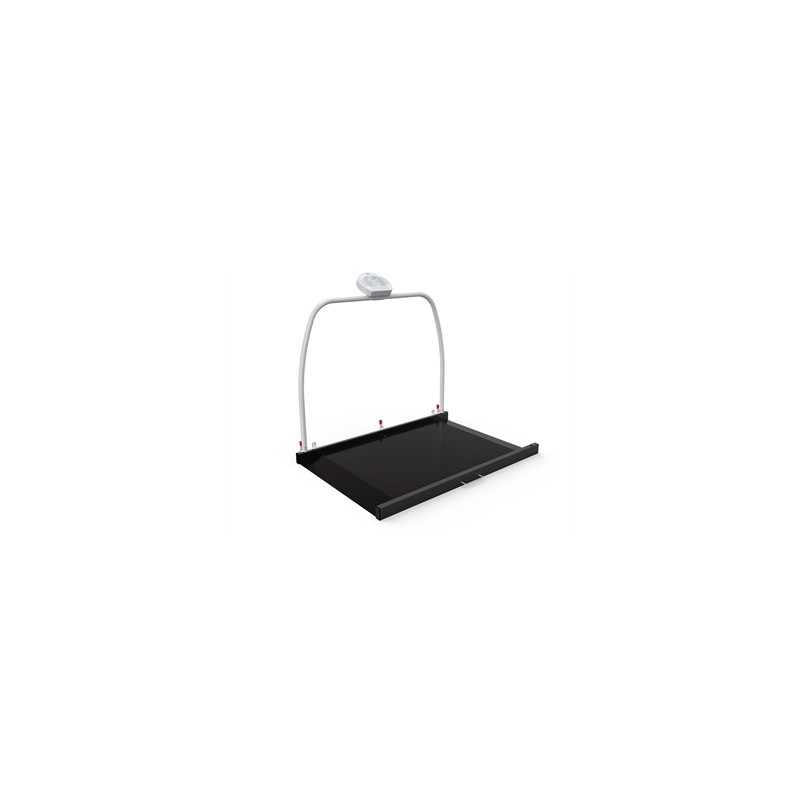 PIATTAFORMA DIGITALE WUNDER RW2.0 CON CORRIMANO 300 kg - Classe III