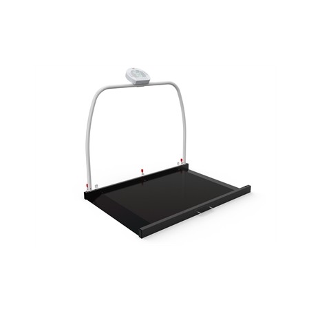 PIATTAFORMA DIGITALE WUNDER RW2.0 CON CORRIMANO 300 kg - Classe III