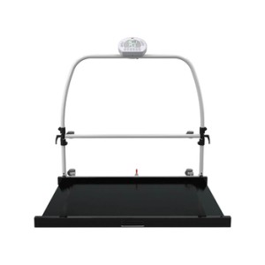 PIATTAFORMA DIGITALE WUNDER RW2.0 MOVE CON CORRIMANO E RUOTE 300 kg - Classe III
