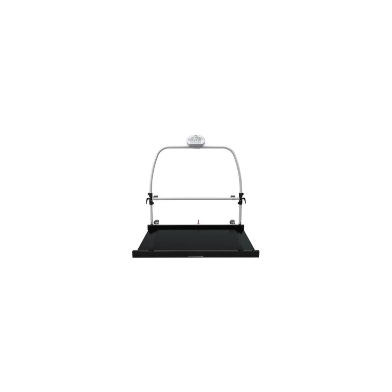 PIATTAFORMA DIGITALE WUNDER RW2.0 MOVE CON CORRIMANO E RUOTE 300 kg - Classe III