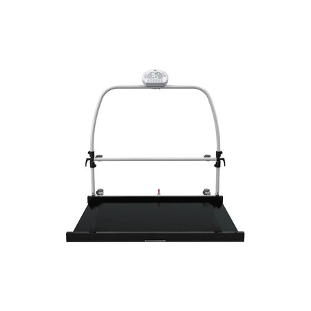 PIATTAFORMA DIGITALE WUNDER RW2.0 MOVE CON CORRIMANO E RUOTE 300 kg - Classe III