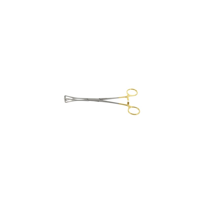 DUVAL C.T. - 20 cm