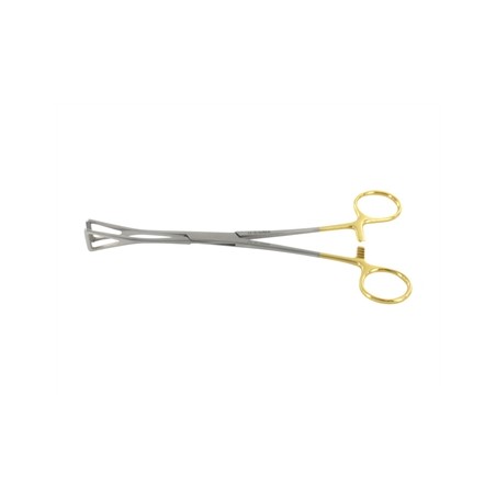 DUVAL C.T. - 20 cm
