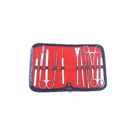 KIT DISSEZIONE IN ACCIAIO INOX AISI 202 PER ESERCITAZIONE - 11 pezzi