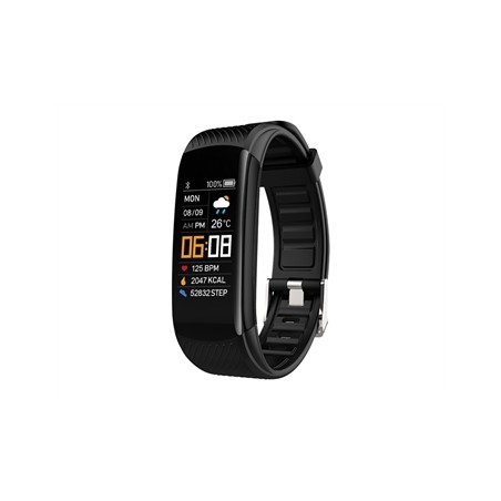 ACTIVITY HEALTH TRACKER FITBAND