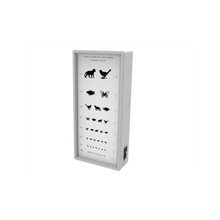 OTTOTIPO LUMINOSO - ANIMALI